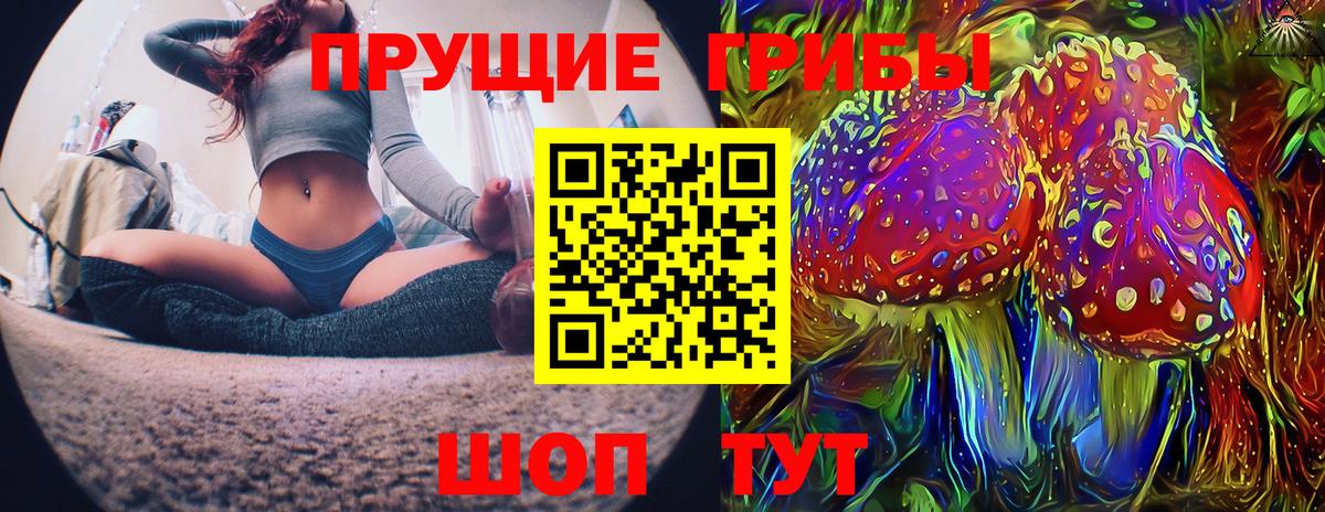 Галлюциногенные грибы Psilocybine cubensis Малгобек