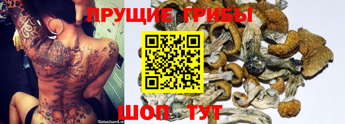 закладка  Вход с VPN  Малгобек  Галлюциногенные грибы Cubensis 